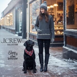 J.Crew Collection NWT RARE charcoal gray neoprene wool mock neck chunky sweater